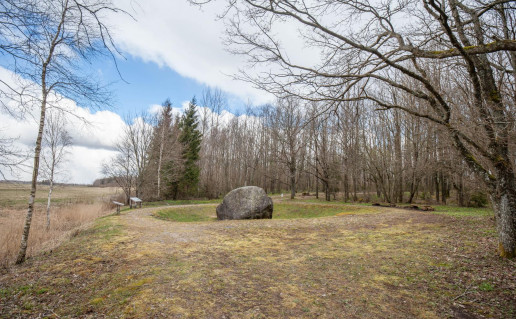 16_Šilalės archeologinis kompleksas 1 (2).jpg